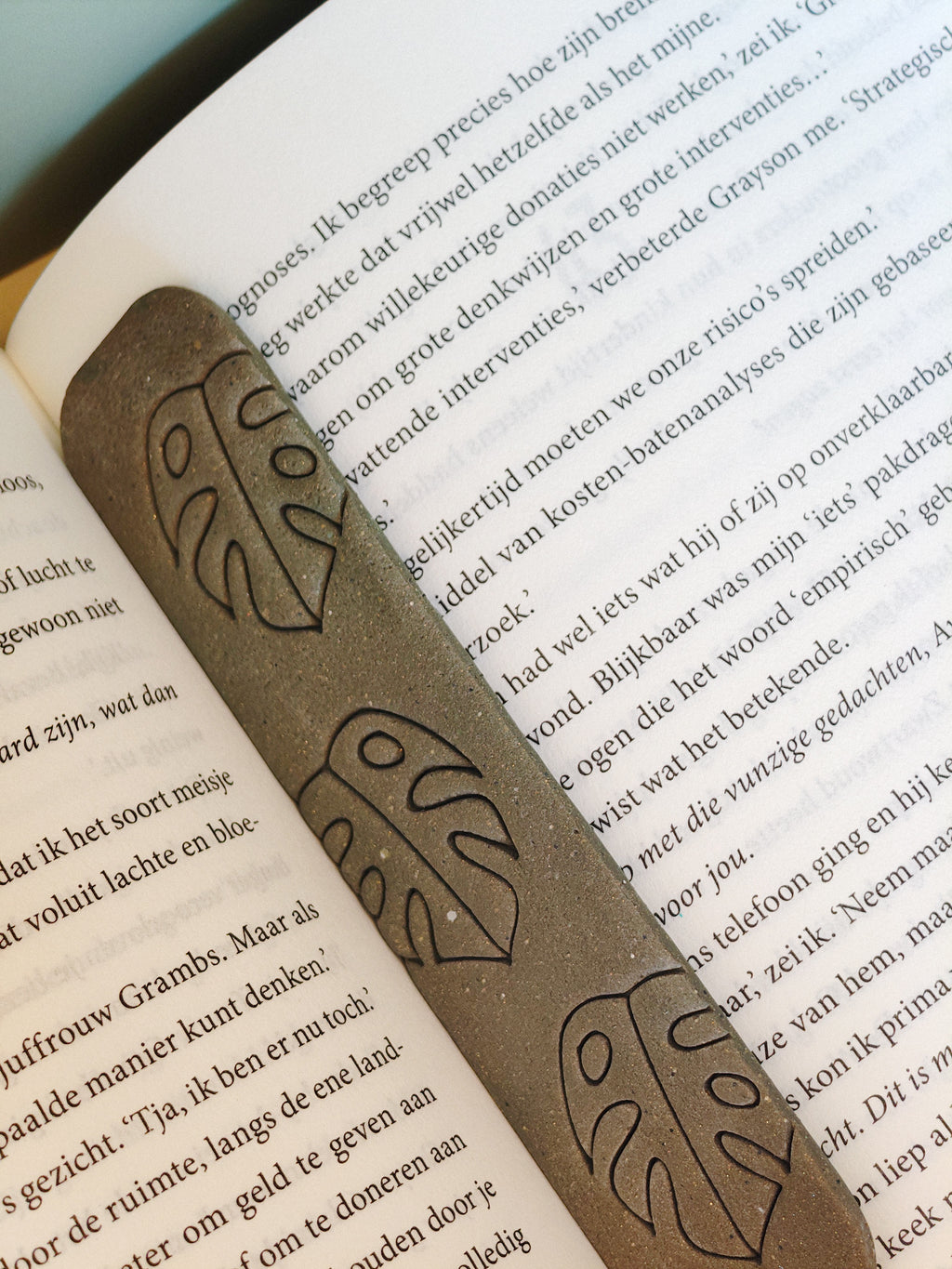 Nature Notes - Monstera