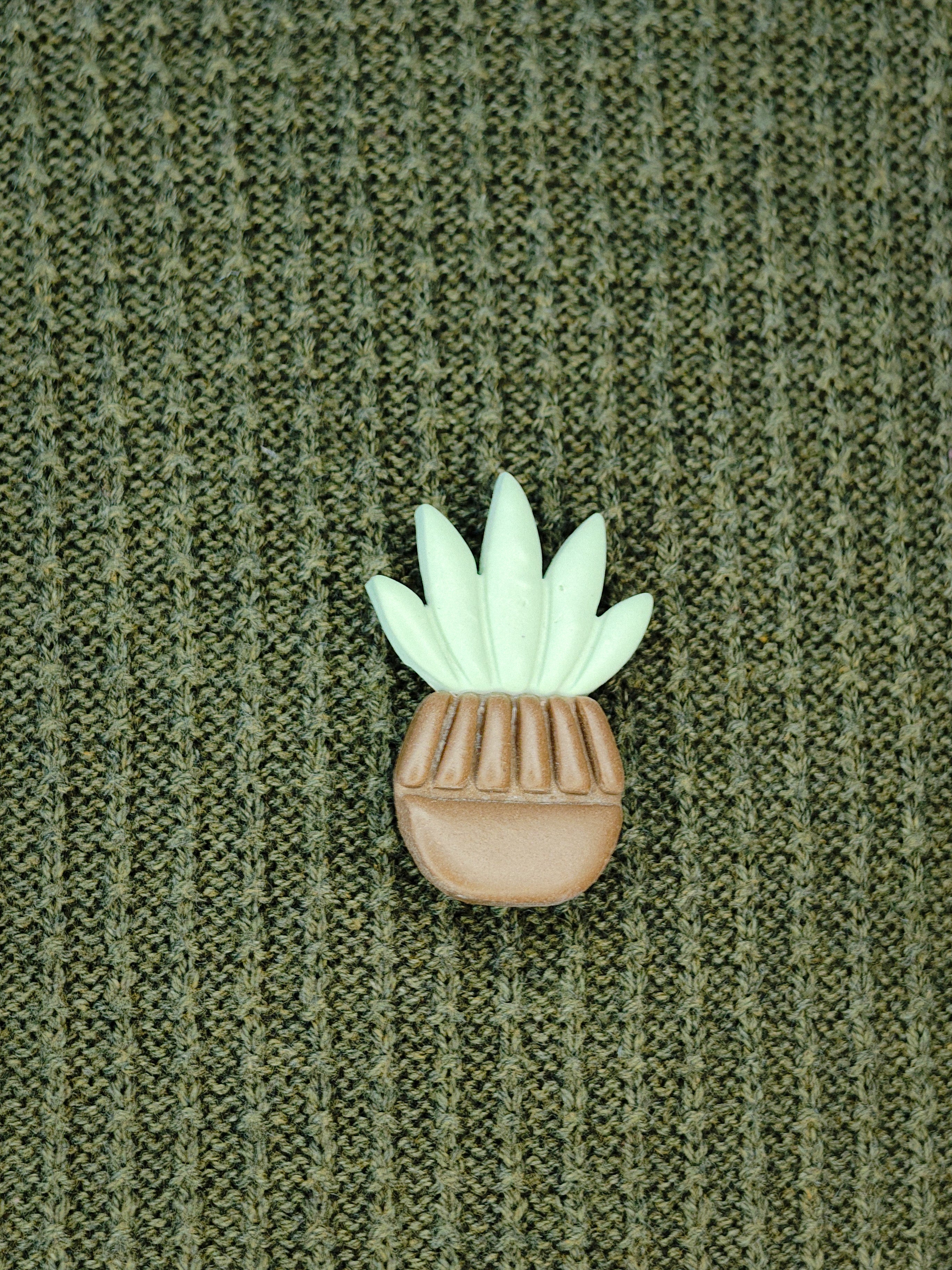 Soft Aloe Pin