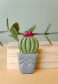 Cactus Crown Pin