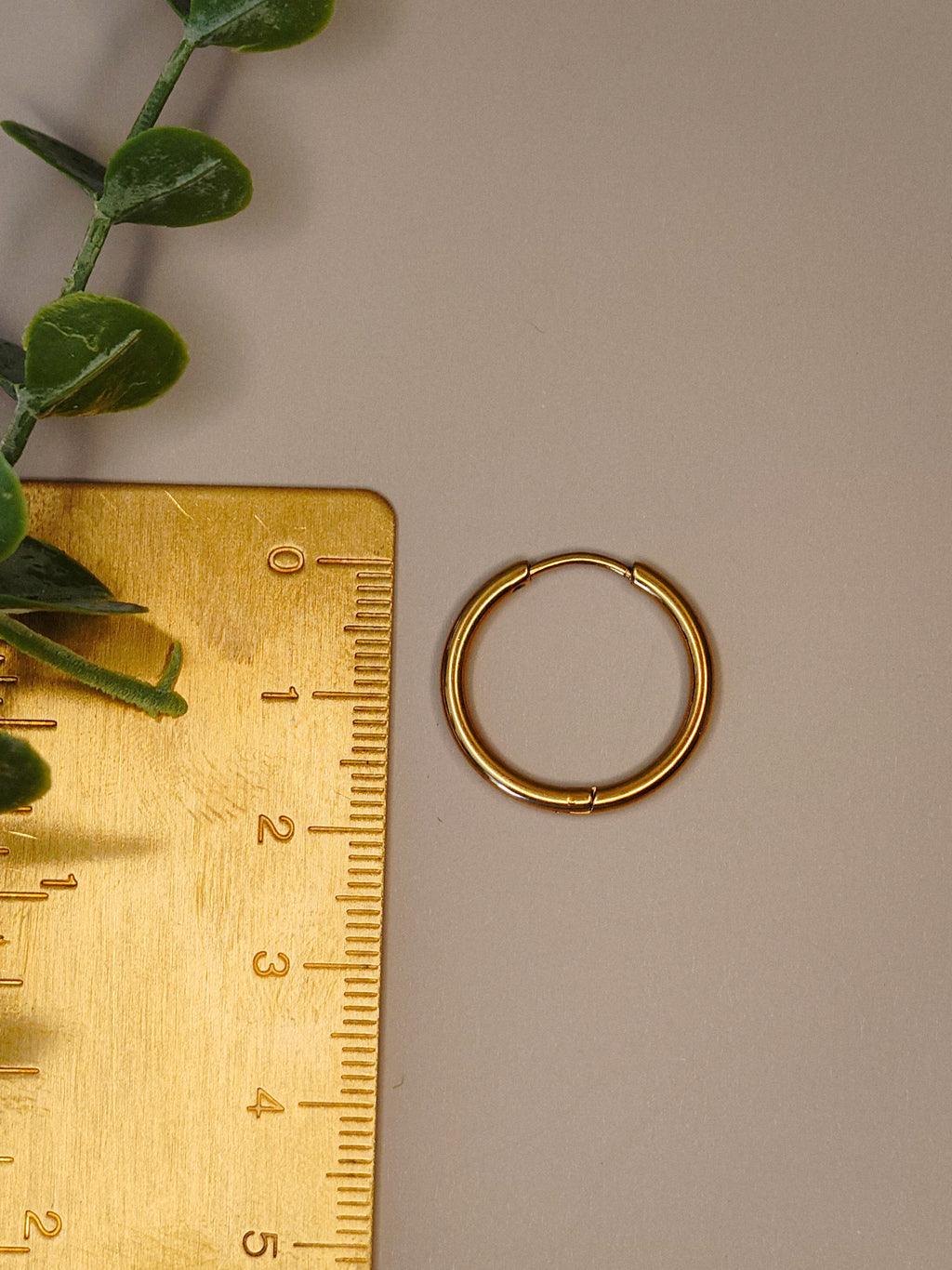 Hoops