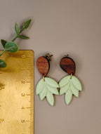Mint Leaves